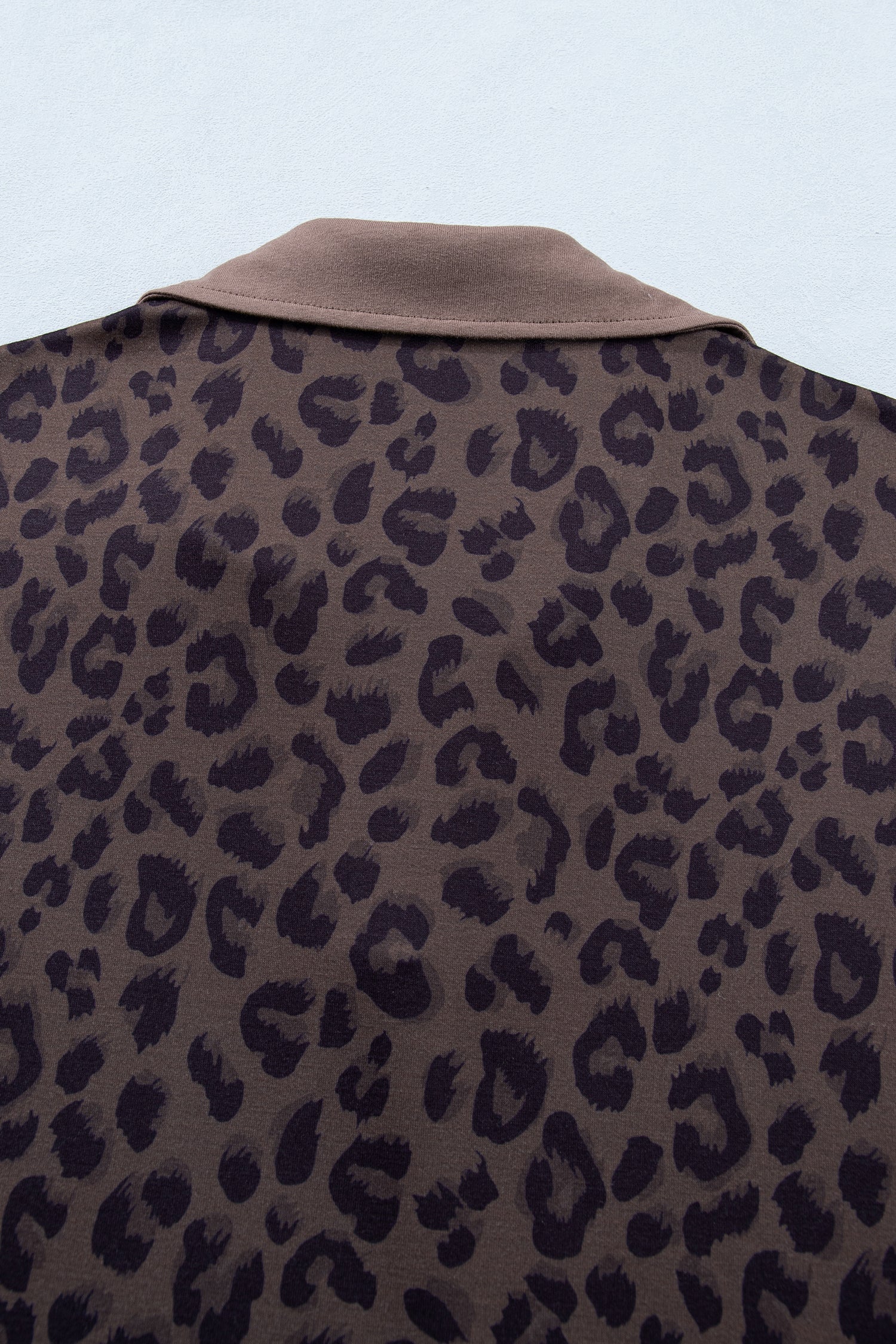 Brown V Neck Collar Leopard Printed 2pcs Short Set