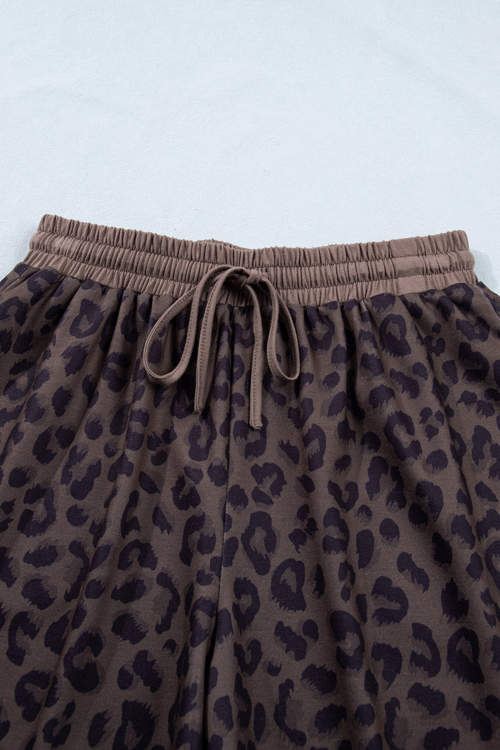 Brown V Neck Collar Leopard Printed 2pcs Short Set